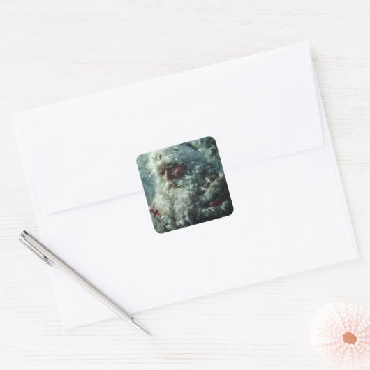 Santa Vierkante Sticker (Envelop)