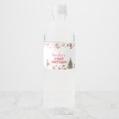 Santa Winter Christmas Birthday Party Waterfles Etiket (Voorkant)