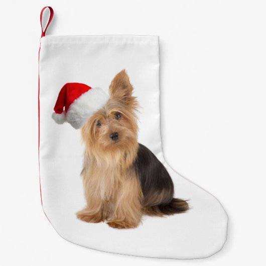 Santa Yorkie kerststaart Kleine Kerstsok (Voorkant)