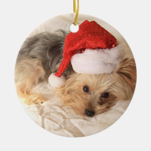 Santa Yorkie Ornament (Voorkant)