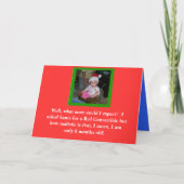 Santababy Feestdagen Kaart (Voorkant)