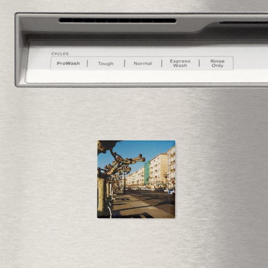 Santander Magneet (Insitu (Vaatwasser))