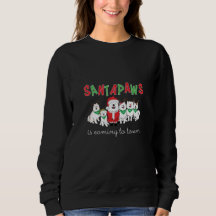Santapaws komt naar de stad