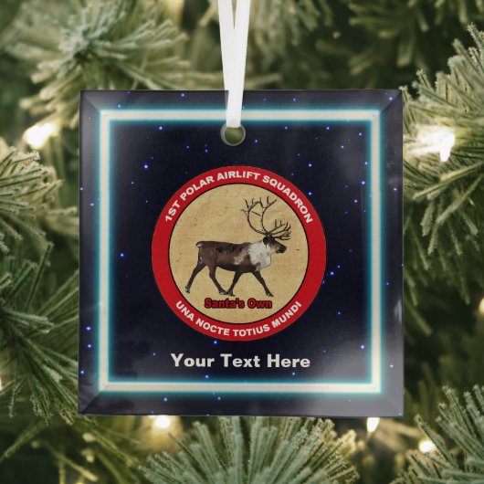 Santa's Ewn - 1e Polar Airlift Squadron Glas Ornament (Insitu)