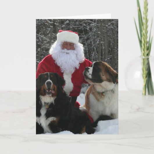 Santa's Furry Helpers Feestdagen Kaart (Voorkant)