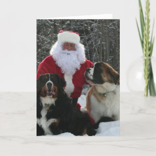 Santa's Furry Helpers Feestdagen Kaart