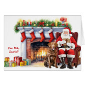 Santa's Gift Chesapeake Bay Retriever Hondenvakant (Voorkant Horizontaal)