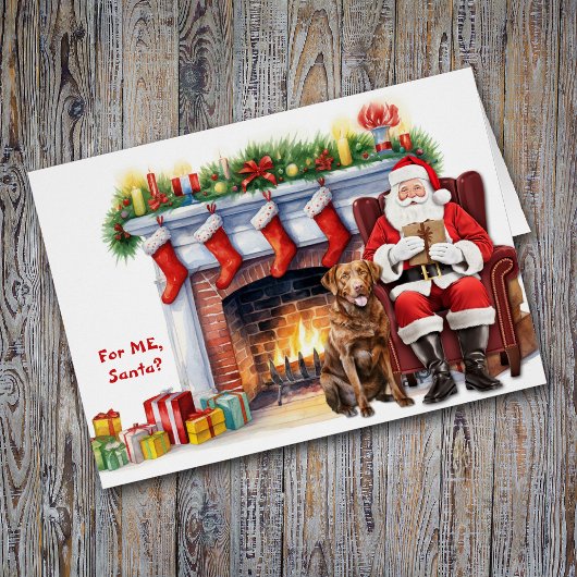 Santa's Gift Chesapeake Bay Retriever Hondenvakant