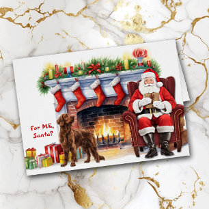 Santa's Gift Ierse Setter Hondenvakantie