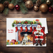 Santa's Gift White Pitbull Hondenvakantie