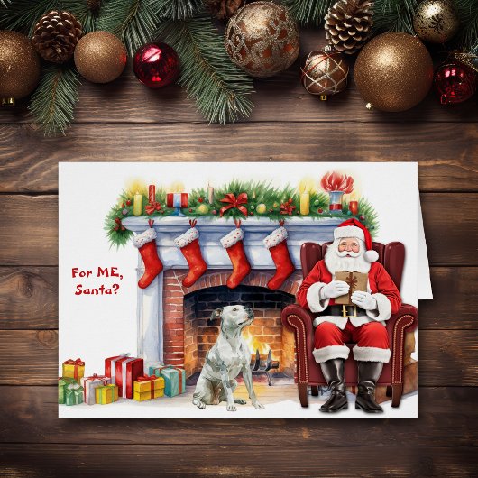 Santa's Gift White Pitbull Hondenvakantie
