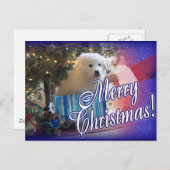SANTA'S GREAT PYRENEES CHRISTMAS PUPPY GIFT FEESTDAGENKAART (Voorkant / Achterkant)