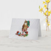 Santa's Kat Elf Kerstmis Kaart met Summer (Gele Bloem)