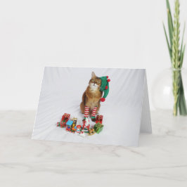 Santa's Kat Elf Kerstmis Kaart met Summer