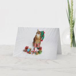 Santa's Kat Elf Kerstmis Kaart met Summer