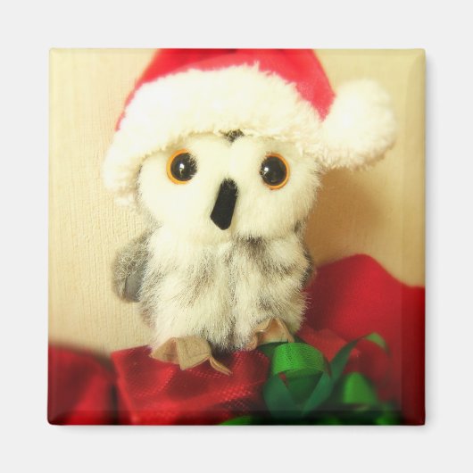 Santa's Kleine Helper Magneet (Voorkant)