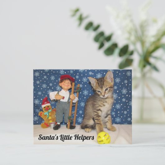 Santa's Kleine Helpers - Kat & Elf Briefkaart (Staand voorkant)