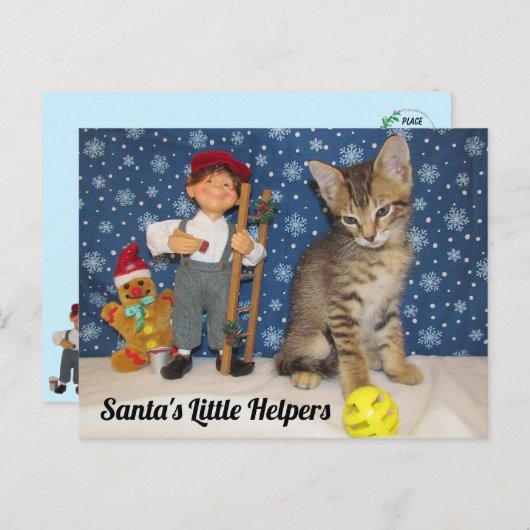 Santa's Kleine Helpers - Kat & Elf Briefkaart (Voorkant / Achterkant)