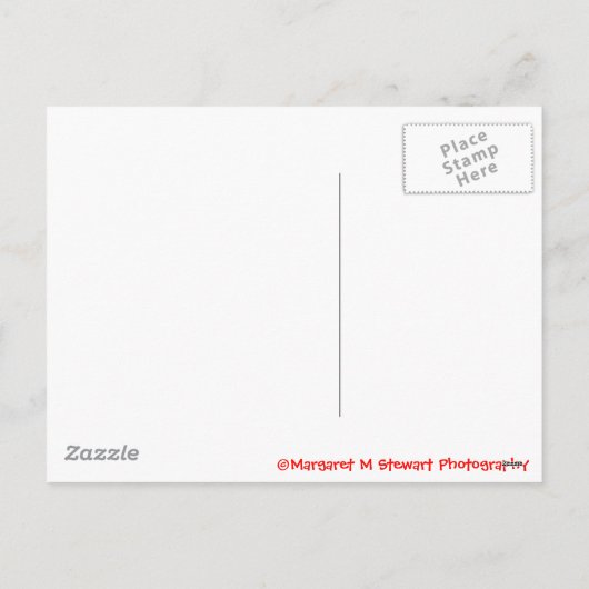 Santa's Little Helper Chipmunk Feestdagenkaart (Achterkant)