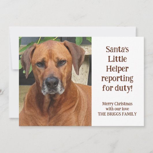 Santa's Little Helper Custom Pet Foto Kerstmis Feestdagenkaart (Voorkant)
