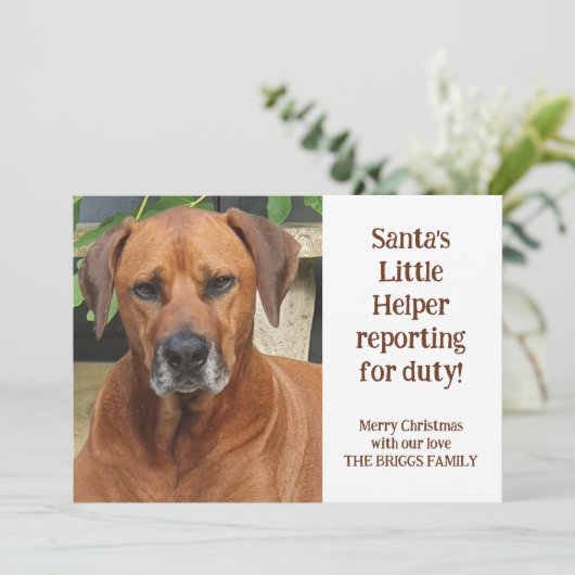 Santa's Little Helper Custom Pet Foto Kerstmis Feestdagenkaart (Staand voorkant)