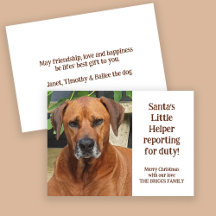 Santa's Little Helper Custom Pet Foto Kerstmis