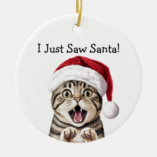 Santa's Little Kitten Helper Cat Ornament (Voorkant)