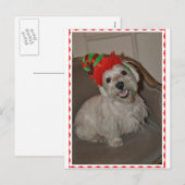 Santa's Little Westie Elf Feestdagenkaart (Voorkant / Achterkant)