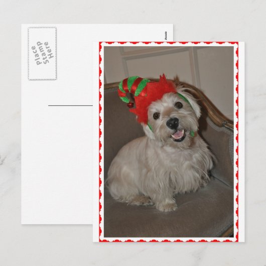 Santa's Little Westie Elf Feestdagenkaart (Voorkant / Achterkant)