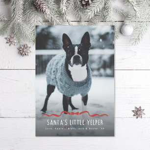 Santa's Little Yelper Schattigee hond Kerstfoto Feestdagenkaart