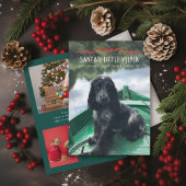 Santa's Little Yelper Schattigee hond Kerstfoto Feestdagenkaart