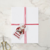 Santa's vreugdevolle feestelijke levering labels cadeaulabel (Met Touw)