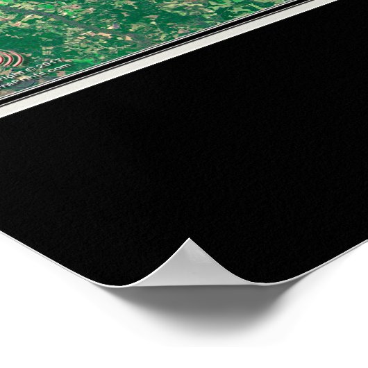 Santee Cooper Lakes South Carolina Satellite Map Poster (Hoek)