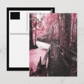 Santee-moerasdroomlandschap Briefkaart (Voorkant / Achterkant)