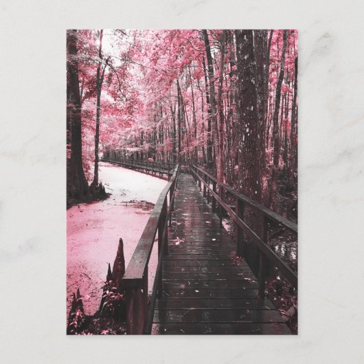 Santee-moerasdroomlandschap Briefkaart (Voorkant)