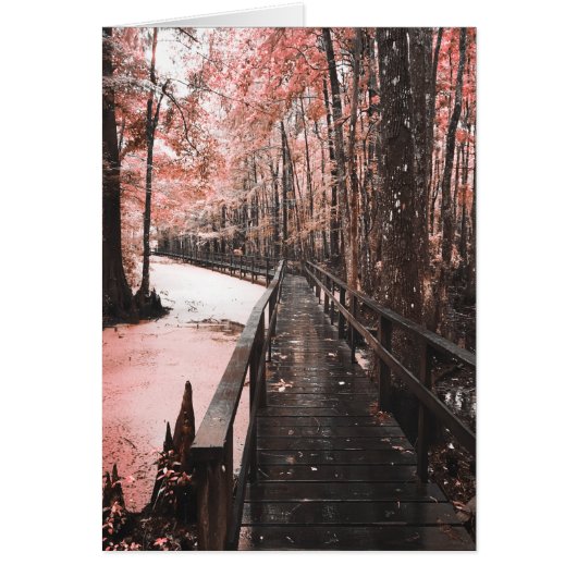 santee swamp dreamscape (Voorkant)