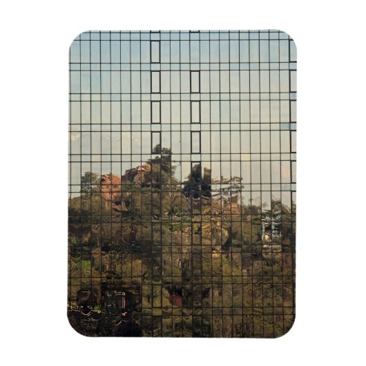 Santiago, Chili reflectie Magneet (Verticaal)
