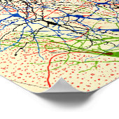 Santiago Ramón Y Cajal Nerve Cells Poster (Hoek)