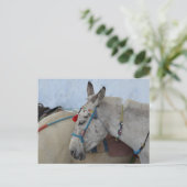 Santorini Donkey Briefkaart (Staand voorkant)