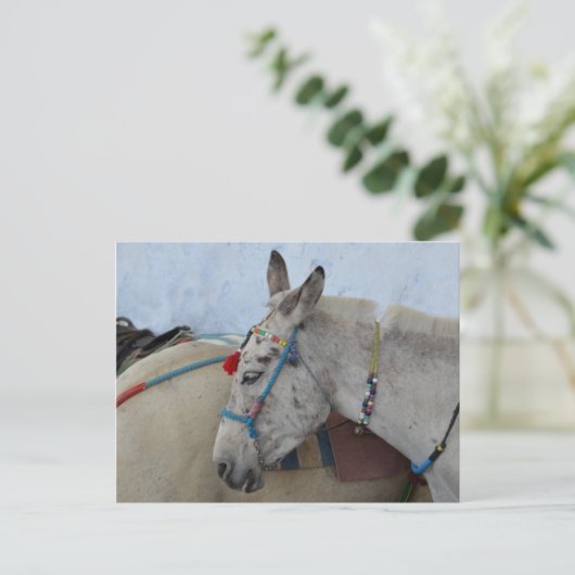 Santorini Donkey Briefkaart (Staand voorkant)