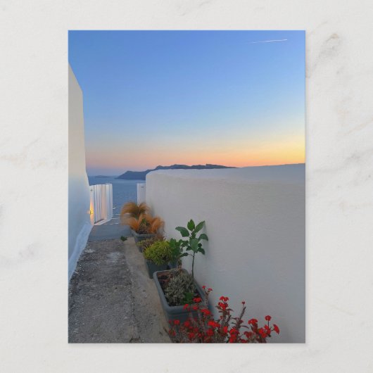 Santorini Greece Street Planten Sunset Briefkaart (Voorkant)
