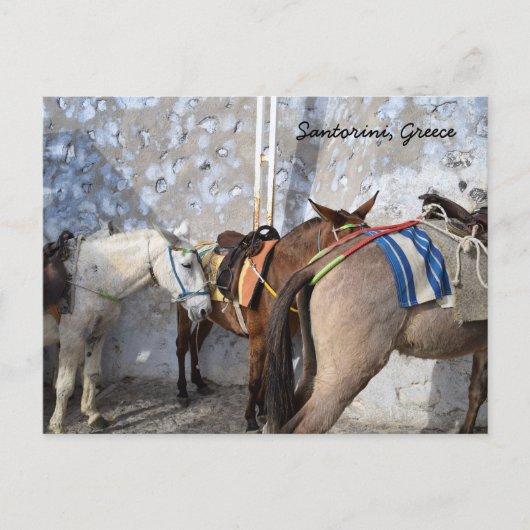 Santorini, Griekenland - Donkeys Briefkaart (Voorkant)