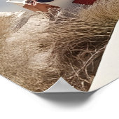 Santorini Griekenland Poster (Hoek)