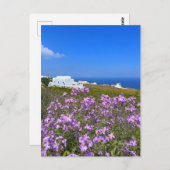 Santorini Griekenland White Building Paars Wild Fl Briefkaart (Voorkant / Achterkant)