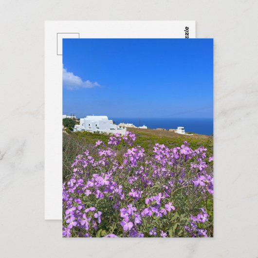 Santorini Griekenland White Building Paars Wild Fl Briefkaart (Voorkant / Achterkant)