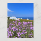 Santorini Griekenland White Building Paars Wild Fl Briefkaart (Voorkant)
