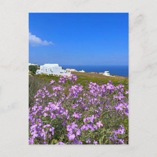 Santorini Griekenland White Building Paars Wild Fl Briefkaart (Voorkant)