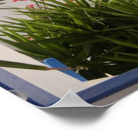 Santorini Griekse eilanden Poster (Hoek)