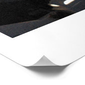 Santorini 's nachts poster (Hoek)