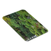 Sanzen-in Temple, Ohara, Kyoto, Japan 3 Magneet (Rechterzijde)